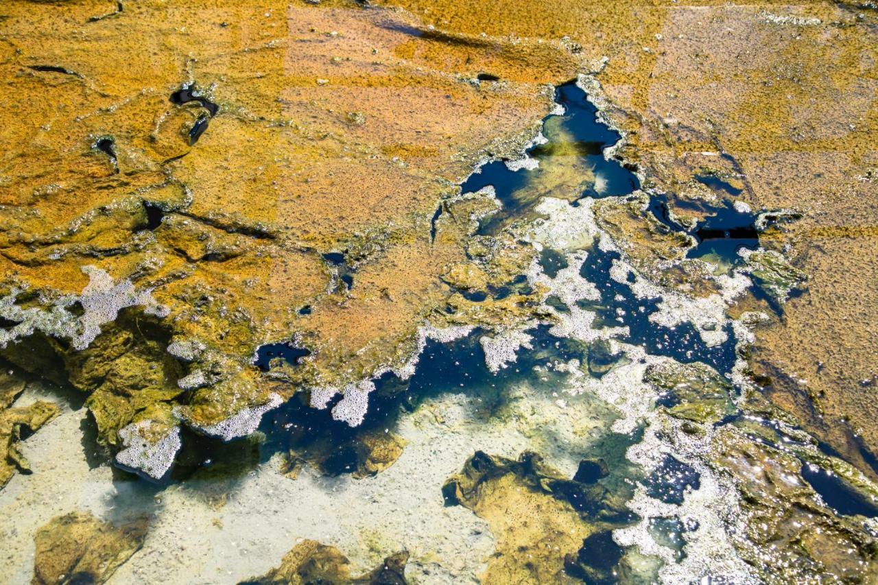 Terme Principe Abano Terme